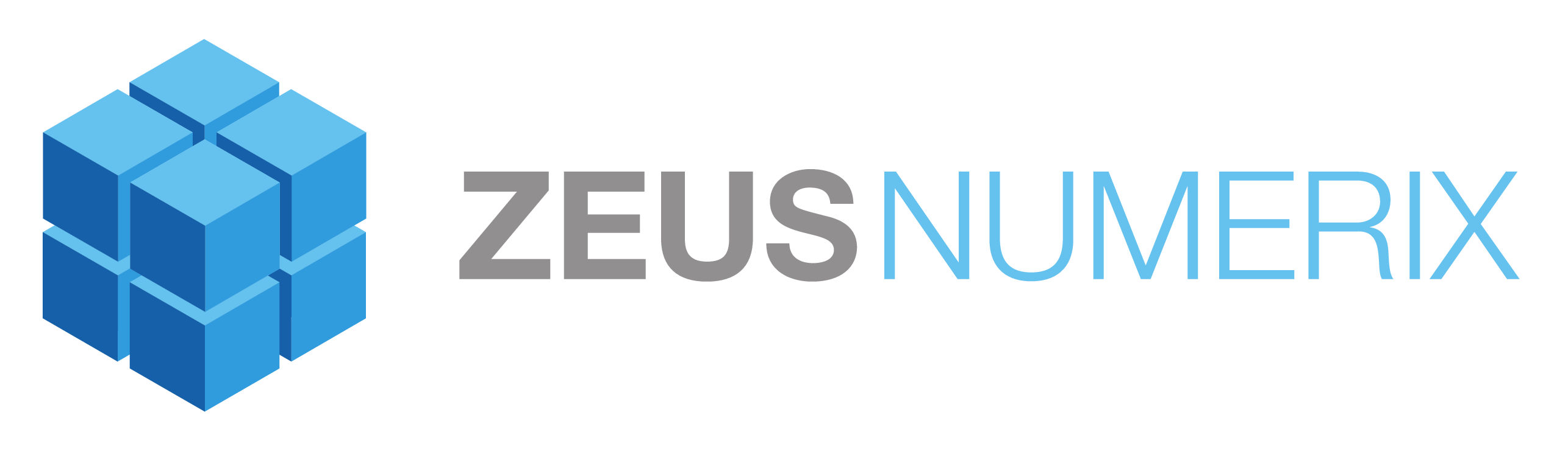 Zeus Numerix Logo